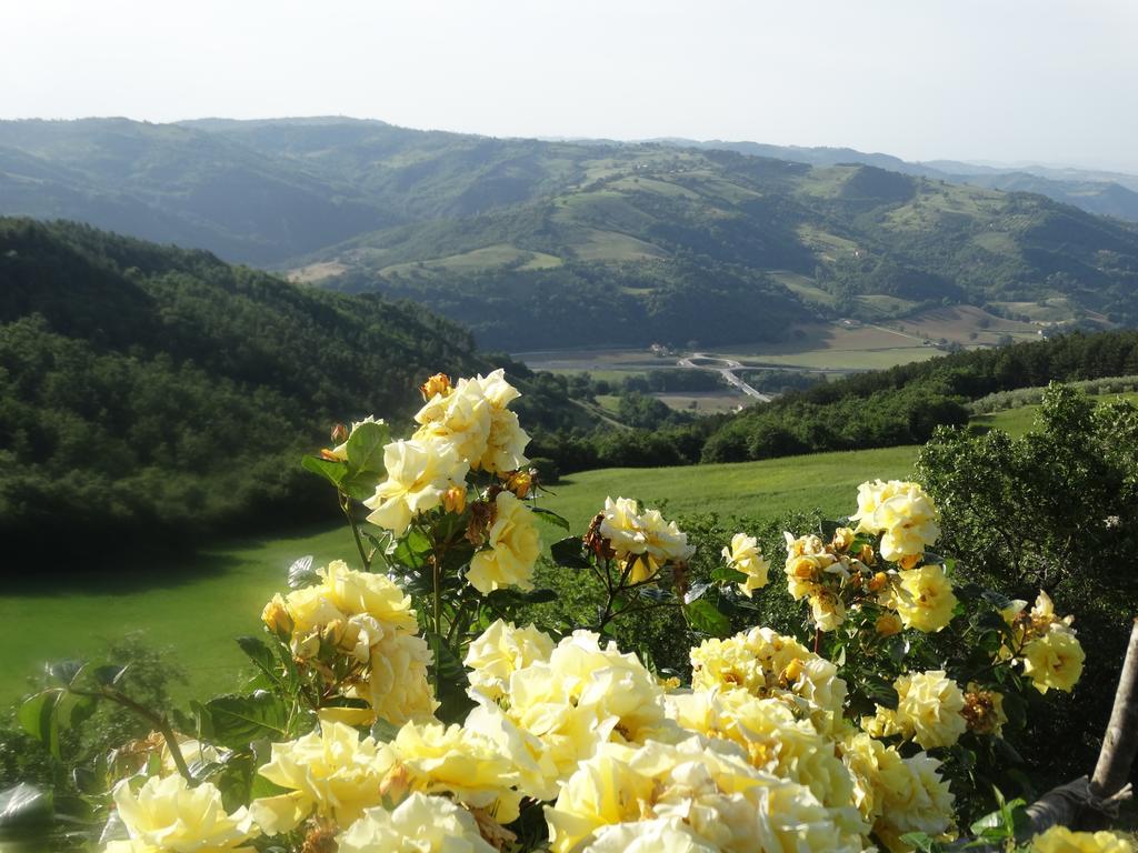 Agriturismo La Terrazza Valfabbrica Екстер'єр фото